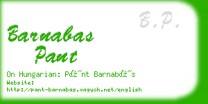 barnabas pant business card